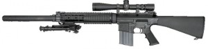 sr25-mk11m0-2.jpg