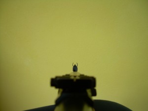 DSCN4195.JPG