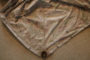 IMG_4475.JPG