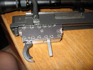 IMG_8873 mini.jpg