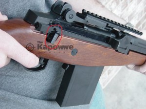 M14.jpg