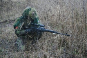 svd0001.jpg