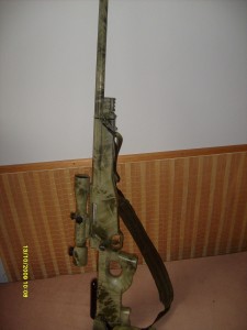 S6300686.JPG