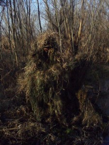 sniper1.jpg