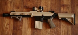 SR25_shorty.jpg