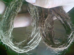 27022012550.jpg