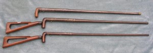 walkingsticks.jpg