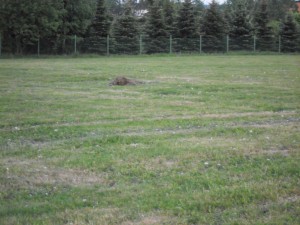 DSCN1682.jpg