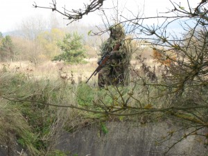 IMG_4911.JPG