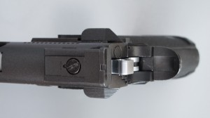 Dragon 31.jpg